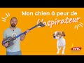 MFEC   Mon chien a peur de l'aspirateur