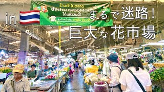 歩いてるだけで気分が上がる！タイ全土から花が集まる巨大花市場