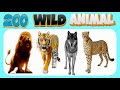 200 Wild Animals | Learn Animals Name In English With Pictures | Animals Vocabulary In English