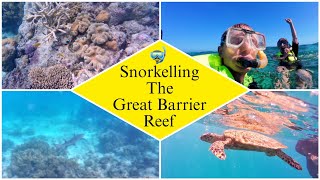 Snorkelling The Great Barrier Reef | Finding Nemo, Sharks & Turtles!!!