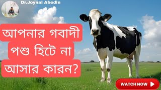 আপনার গবাদী পশু হিটে না আসার কারন?