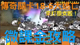 #貓咪大戰爭 傳奇關卡18-6大逃亡1星｜微課金攻略｜貓罐