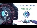 Beginner’s Guide to Google Gemini API with Python on Colab