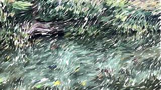 Paint in Flow Field | Generative Art # 8
