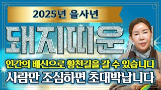 🌟2025년 을사년 돼지띠운세🌟 x월 미친듯한 돈복이 터진다?! 2025년 돈복,인복,만복 다 들어와 대박납니다! 단,x월 xx월 꼭 조심하세요! 대박나는 돼지띠 운세