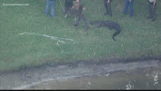 Florida or Not?: Are these crazy stories from the Sunshine State?