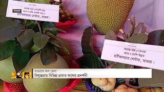 মাগুরায় শুরু হয়েছে ৩ দিনব্যাপী ফল মেলা | Magura News | Ekhon TV