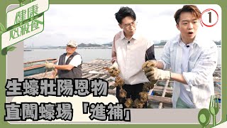 TVB飲食節目 | 健康必殺食 01/09 | 男士食物 | 陸浩明、鄭衍峰 | 粵語中字 | TVB 2023