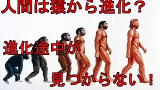 【驚愕】人類進化の謎 猿から進化はウソだった？ ミッシングリンクとは