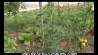 החדשות מהירקון שבעים / Hayarkon 70 news