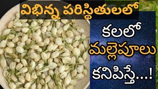 కలలో మల్లెపులు కనిపిస్తే || Kalalo Mallepulu Kanipiste || Jasmine Flowers in Dreams Hindu Meaning