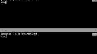 Tcp Echo Server - Testing SingleServer