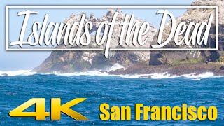 The Islands of the Dead | San Francisco and the Farallon Islands 4K