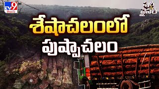 Full \u0026 Final : శేషాచలంలో పుష్పాచలం | Red Sandalwood Smuggling - TV9