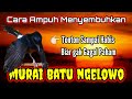 Murai Batu Ngelowo || Cara Ampuh Menyembuhkan Murai Batu Ngelowo.