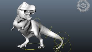 CGB Tail Rig Breakdown