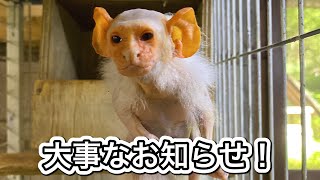 今年で最後！？コモンおばあちゃんから大事なお知らせ♫