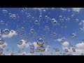 quiet classroom music for children calming sensory bubbles morning music for class