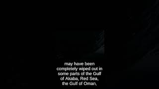 Plague In Sea #science #Pollution #shorts #trending #viral #ocean #water #marine #fishing  #facts