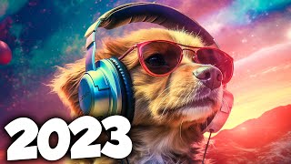 A MELHOR MUSICA ELETRONICA 2023 🔥 MÚSICAS ELETRÔNICAS MAIS TOCADAS | Alok, Tiesto & David Guetta