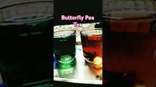 #Butterfly pea#TEA#