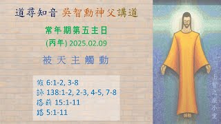 道尋知音2025：常年期第五主日（丙年）