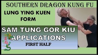SOUTHERN DRAGON KUNG FU (LUNG YING KUEN) -  APPLICATIONS OF THE FIRST HALF OF SAM TUNG GOR KIU FORM