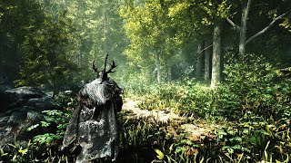 Remastering Skyrim | 2023 Modlist