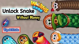 Snakes skin in WormsZone.io | Tips \u0026 Tricks