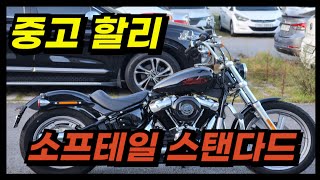 ₩21,000,000원/할리데이비슨 입문으로 강력추천합니다/신차급 소프테일 스탠다드 중고 판매합니다!