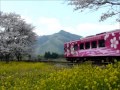 錦川鉄道　錦川清流線　桜と、菜の花と、ひだまり号 2009 04 02