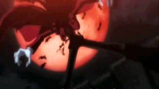 Hellsing AMV/Evolution