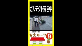 【全力施工】【かえルーフ】漆喰工事 屋根工事 現場 瓦補修 屋根補修 浜松 瓦屋根修繕 かえルーフ 屋根修理 屋根修繕 屋根職人 #Shorts