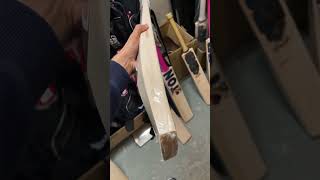 SG SUNNY GOLD ENGLISH WILLOW CRICKET BAT