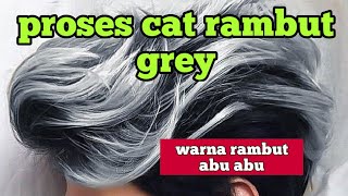 PROCESS Highlight Gray hair.  Ash Gray Color