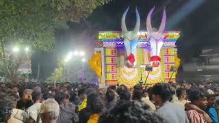 Ammanjeri kavu utsavam 2024 | അമ്മഞ്ചേരികാവ് താലപൊലി മഹോത്സവം.