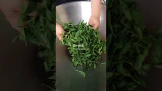 Taiwan Alishan Tea Picking Farmer 阿里山一日茶農輕旅行