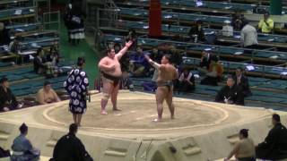 北大地-若山/2017.3.24/kitadaichi-wakayama/day13 #sumo