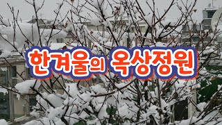 한해의 끝자락, 12월 30일, 많은 눈이 내리는 옥상정원을 담아봤어요. 영상찍고나서도 계속눈이 내려서 12cm, 42년만에 최고로 많이 내렸다고 하네요.