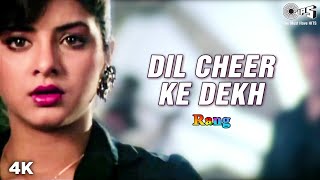 Dil Cheer Ke Dekh | Divya Bharti | Kamal Sadanah | Kumar Sanu | Rang Movie | 90's Romantic Song
