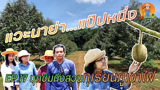 บุกชิมถึงสวน!! ทุเรียนภูเขาไฟ ของดี จ.ศรีสะเกษ | ทุ่งนาลาวัลย์ : แวะนาย่าแป๊ปหนึ่ง EP.17