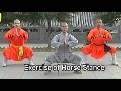 Shaolin kung fu basic moves 1 Shaolin kung fu basic moves 1