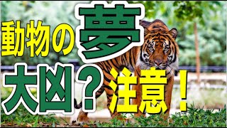 夢占い【動物の夢】を見た時の意味は？動物の出産や赤ちゃん。襲われる・助ける夢まで解説します！