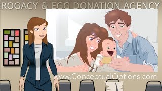 How to get Chosen as an Egg Donor? - Conceptual Options Egg Donor Educational Series