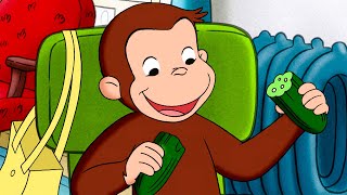 Grow your own vegetables! | Curious Coco | Cartoons for Kids