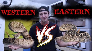 WESTERN VS EASTERN | WILL NACE