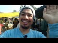 missamari thursday market vlog sonitpur assam