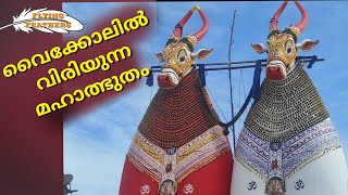 ഓച്ചിറ കാള||OCHIRA KETTUKALA FEST||