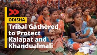 Tribal in Kalahandi, Gathered to Protect Kalapat and Khandualmali