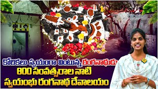 ఆలయ చరిత్ర - మహిమాన్విత క్షేత్రం రంగనాథ ఆలయం | Ranganatha Swami Temple details | Disha Tv Gayathri